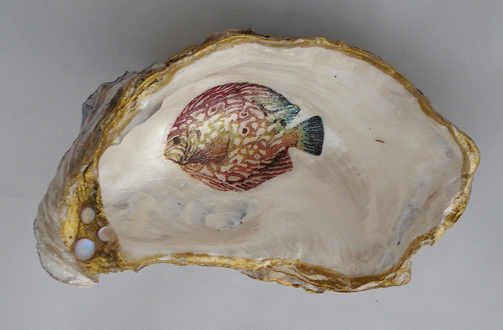 Fish in oyster shell image